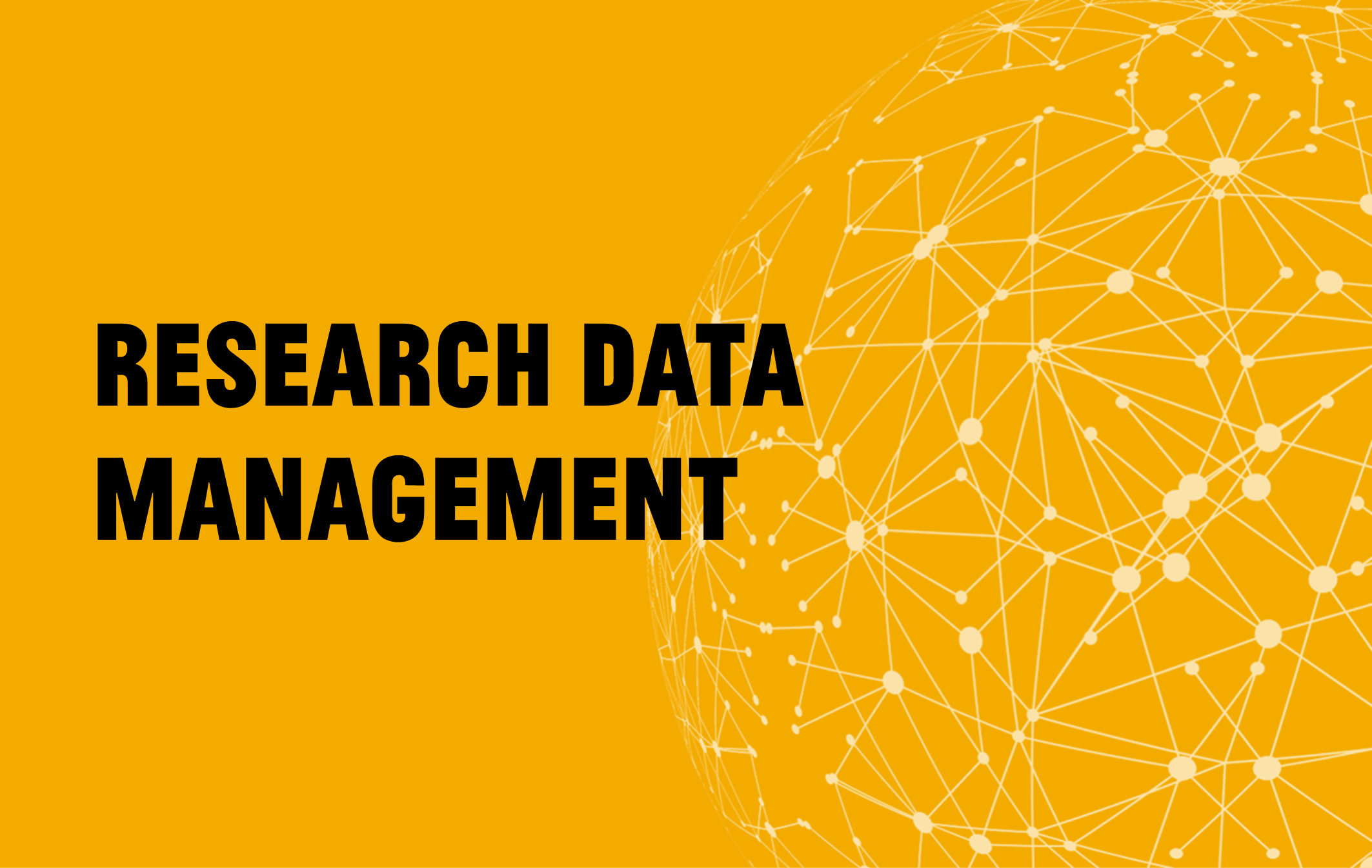 Symbolbild Research Data Management